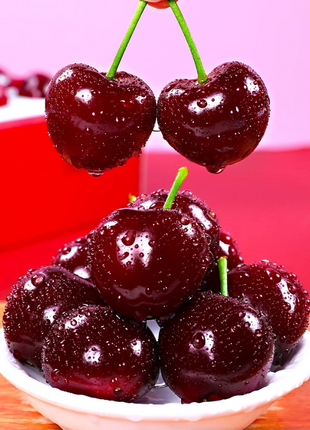Cherry Seeds