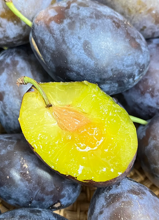 Blue Honey Prune Seeds