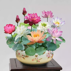 Collection image for: Lotus