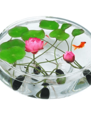 The Sacred Bonsai Lotus Flower