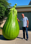 Green Eggplant / 100 seeds